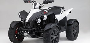 Aeon Cobra 400 2014 vs TGB Gunner 550 2014