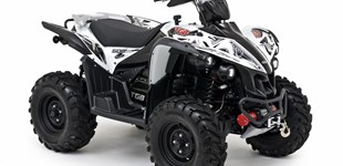 TGB Target 500 4x4 IRS 2014 vs TGB Blade 1000 EFI LT 4x4 IRS 2020