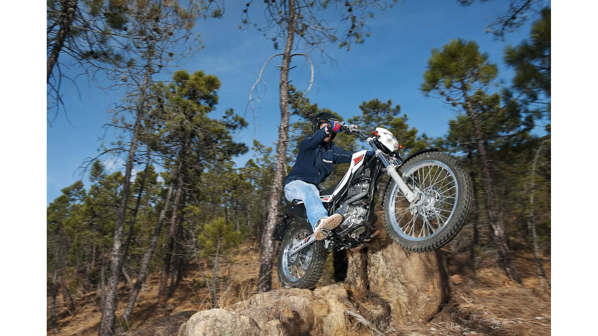 Beta Alp 200 - Image 1 Beta Alp 200 - Image 1