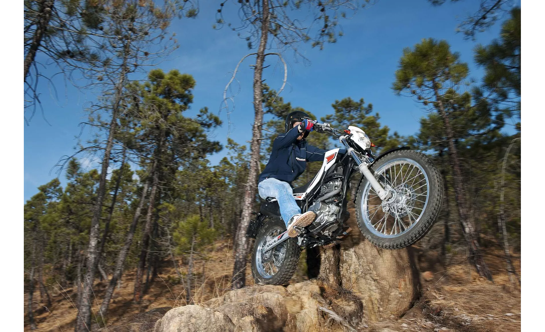 Beta Alp 200 2014 Beta Alp 200 2014