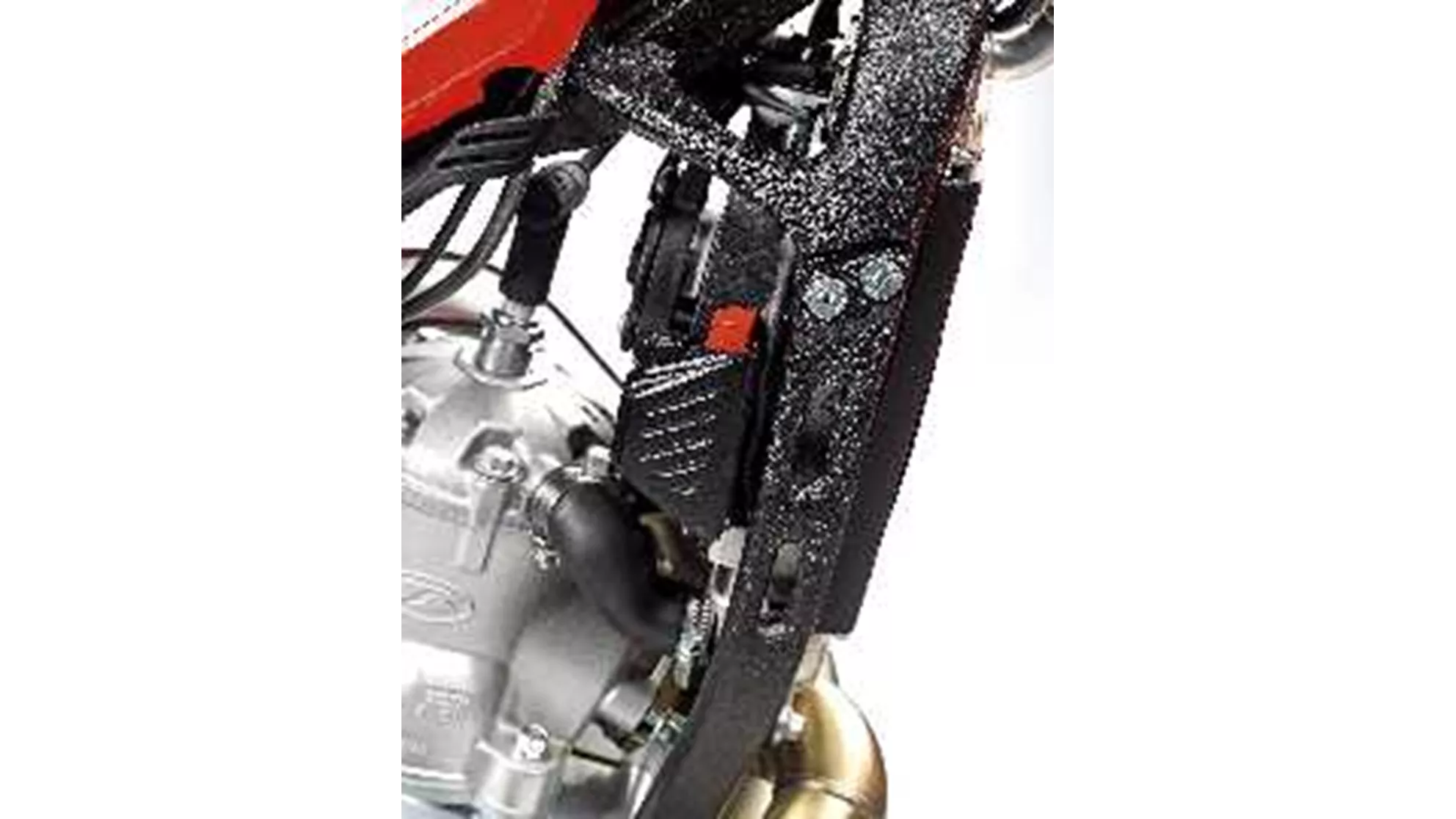 Beta Evo 300 2T - Image 2 Beta Evo 300 2T - Image 2