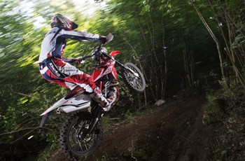 Beta RR 250 2T 2014 - Bild 4