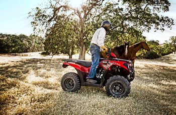 Kawasaki KVF 300 2014 - Bild 11