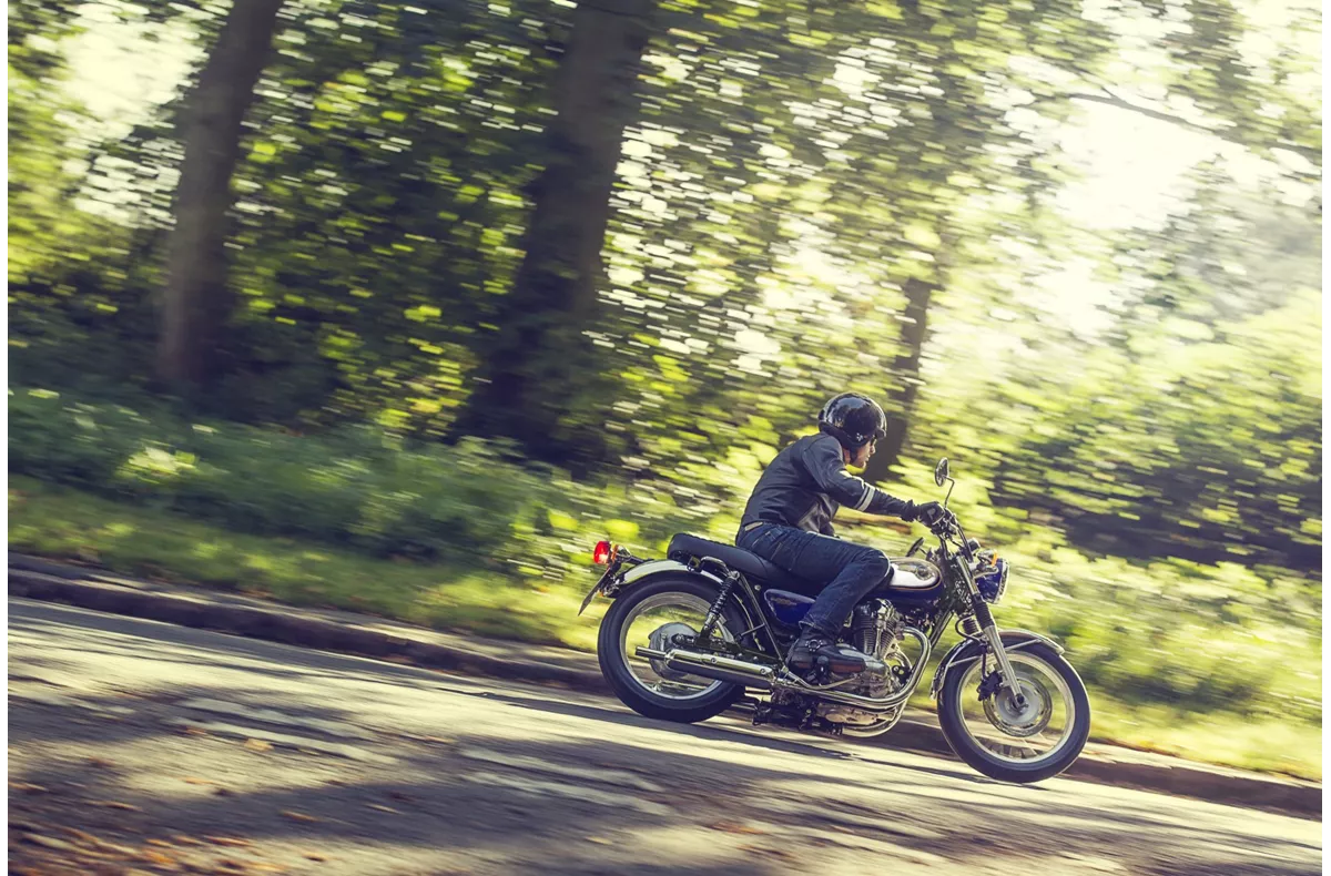 Kawasaki W800 Kawasaki W800