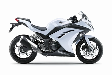 Kawasaki Ninja 300 2014 Kawasaki Ninja 300 2014