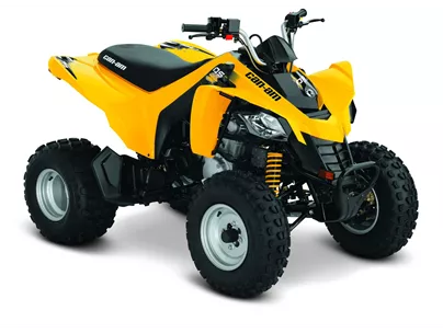 Can-Am DS 250 2014
