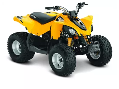 Can-Am DS 90 2014 Can-Am DS 90 2014