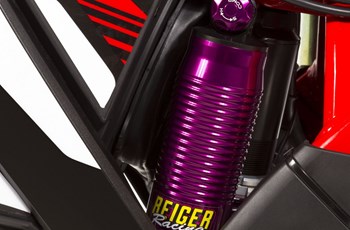 GASGAS EC 250 Racing 2014 - Bild 9