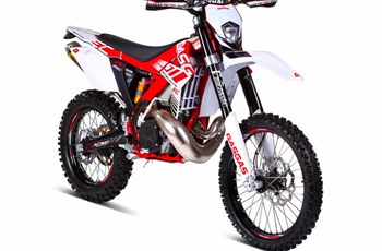 GASGAS EC 250 E 2014 - Bild 2