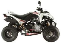 Explorer Trasher 320 Supermoto 2014 - Bild 4