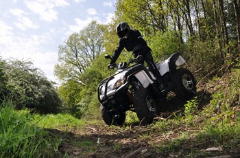 Adly Canyon 320 2015 - Bild 2