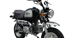 Skyteam Skymax 125 2019 vs Skyteam Gorilla 50 2015