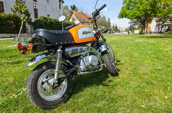 Skyteam Gorilla 125 2015 - Bild 15 Skyteam Gorilla 125 2015 - Bild 15