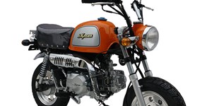 Honda ANF 125 Innova 2009 vs Skyteam Gorilla 125 2015