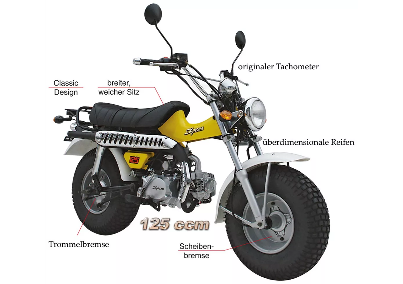 Skyteam T-Rex 2015 Skyteam T-Rex 2015