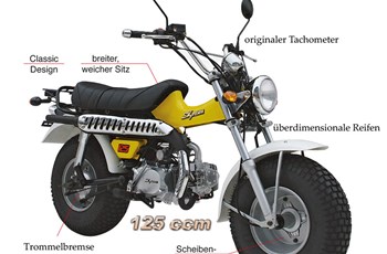 Skyteam T-Rex 2015 - Bild 2