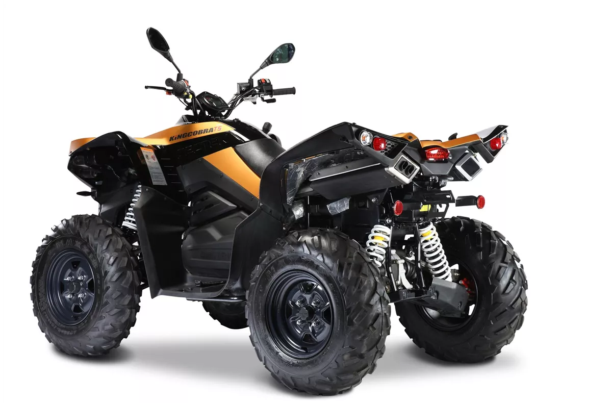 Cectek King Cobra 500EFI Cectek King Cobra 500EFI