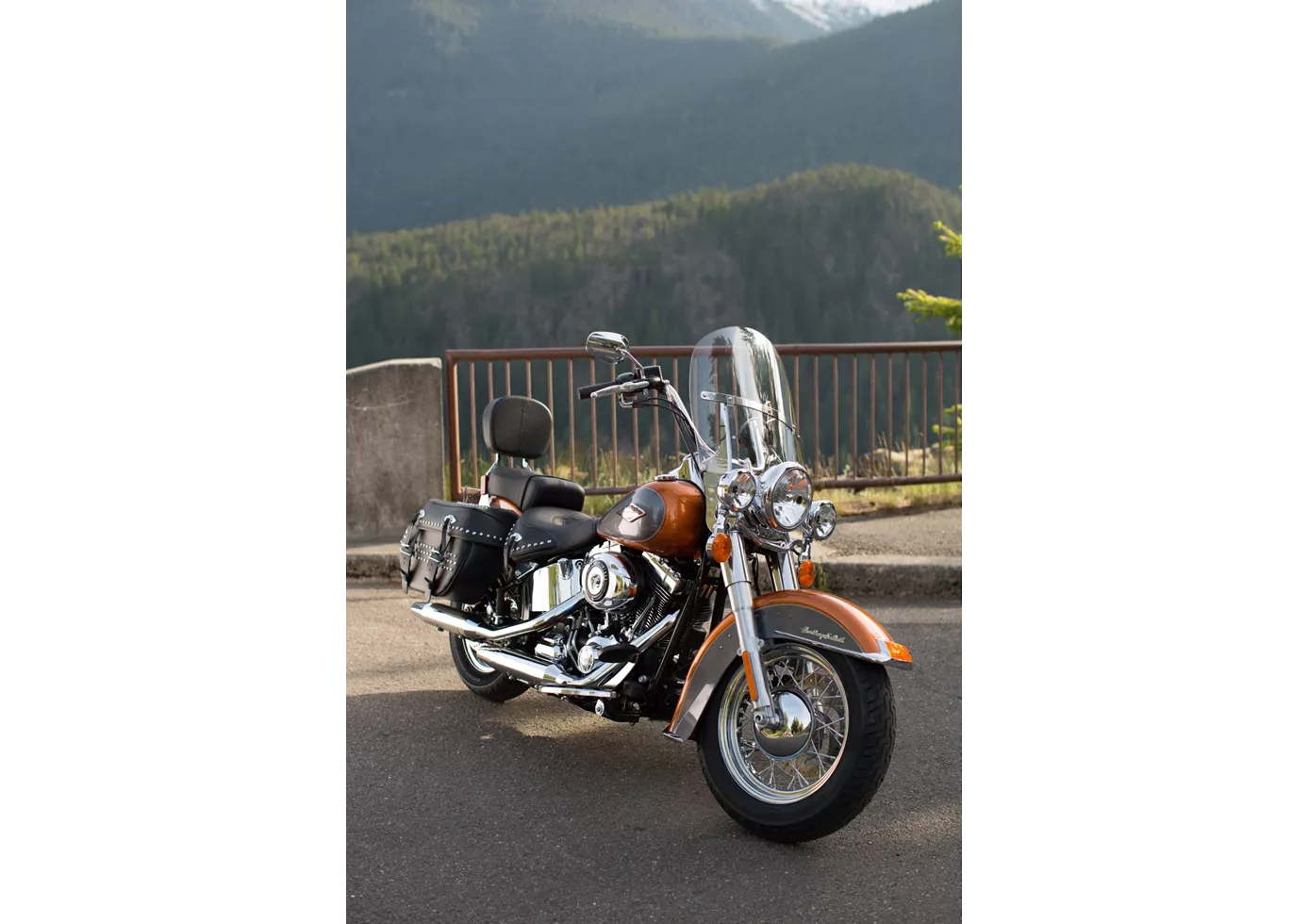 Harley-Davidson Softail Heritage Classic FLSTC 2015 Harley-Davidson Softail Heritage Classic FLSTC 2015