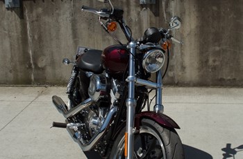 Harley-Davidson Sportster XL 883 L SuperLow 2015 - Bild 6