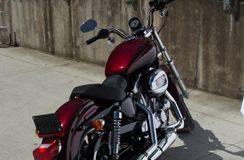 Harley-Davidson Sportster XL 883 L SuperLow 2015 - Bild 8