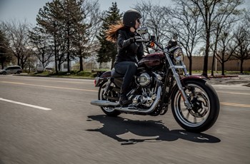 Harley-Davidson Sportster XL 883 L SuperLow 2015 - Bild 9