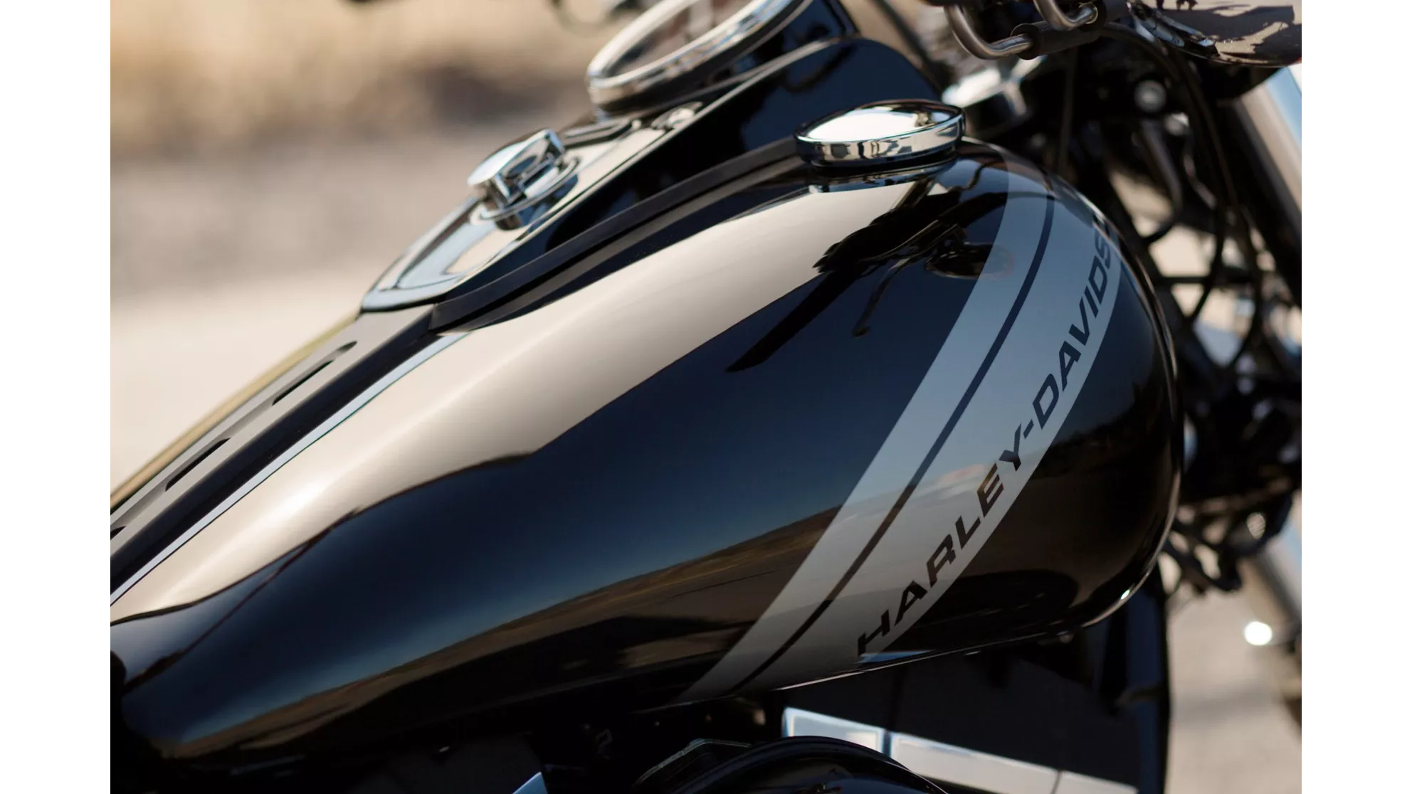 Harley-Davidson Dyna Fat Bob FXDF - Image 14 Harley-Davidson Dyna Fat Bob FXDF - Image 14