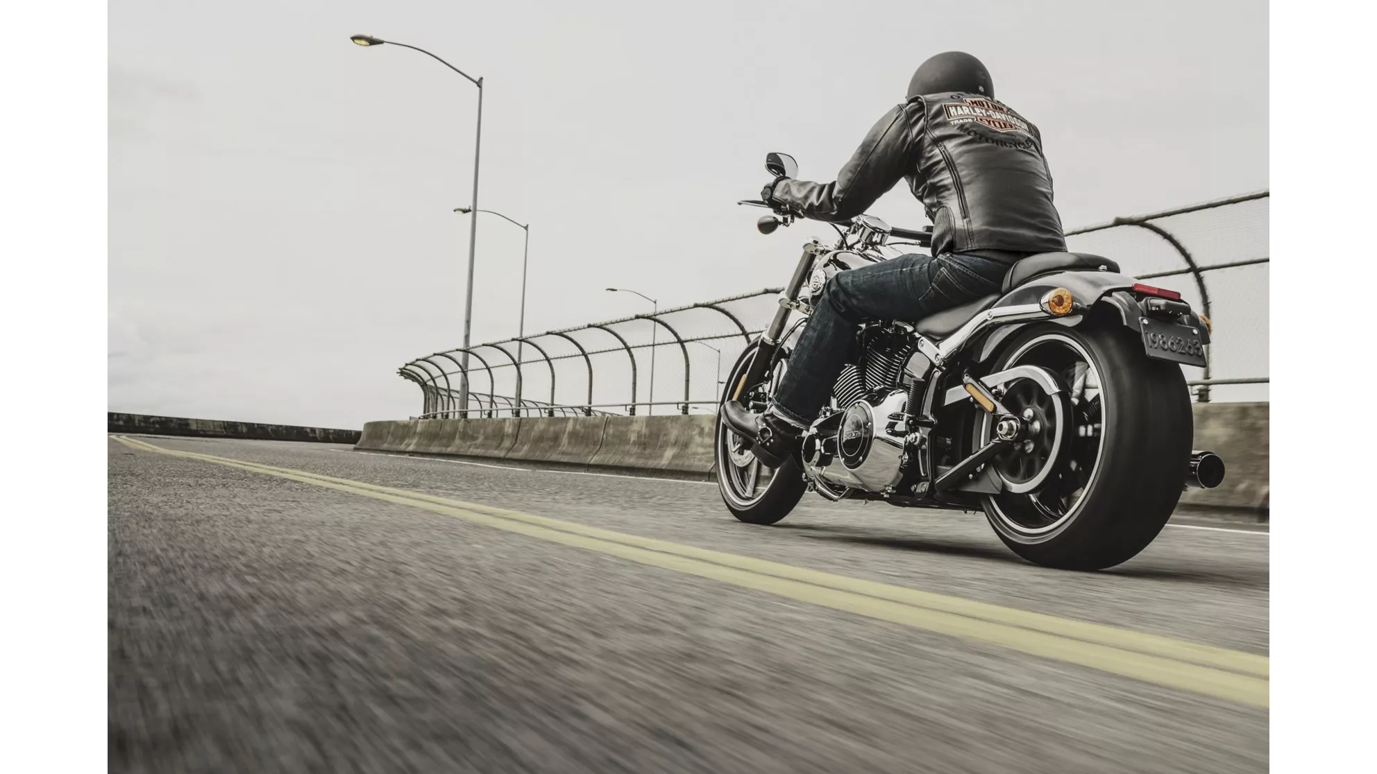 Harley-Davidson Dyna Fat Bob FXDF - Image 17 Harley-Davidson Dyna Fat Bob FXDF - Image 17