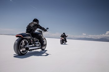 Harley-Davidson V-Rod Muscle VRSCF 2015 - Bild 13 Harley-Davidson V-Rod Muscle VRSCF 2015 - Bild 13