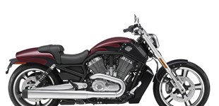 Harley-Davidson V-Rod Night Rod VRSCD 2007 vs Harley-Davidson V-Rod Muscle VRSCF 2015