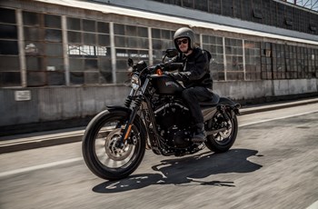 Harley-Davidson Sportster XL 883 N Iron 2015 - Bild 5 Harley-Davidson Sportster XL 883 N Iron 2015 - Bild 5