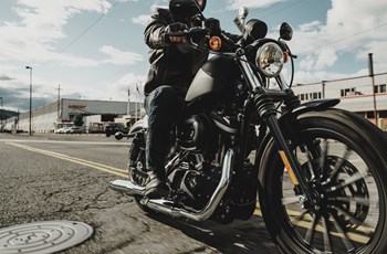 Harley-Davidson Sportster XL 883 N Iron 2015 - Bild 6 Harley-Davidson Sportster XL 883 N Iron 2015 - Bild 6