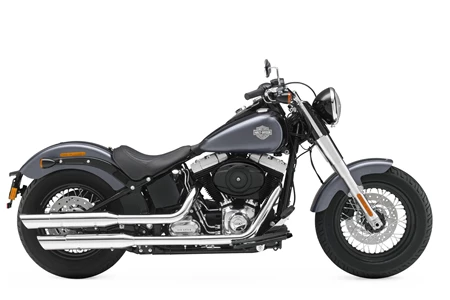 Harley-Davidson Softail Slim FLS 2015 Harley-Davidson Softail Slim FLS 2015