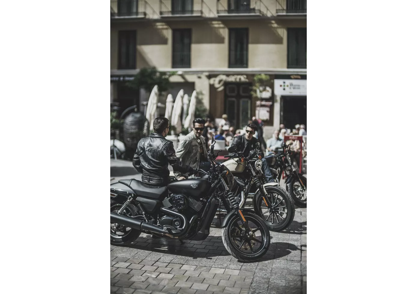 Harley-Davidson Street 750 2015 Harley-Davidson Street 750 2015