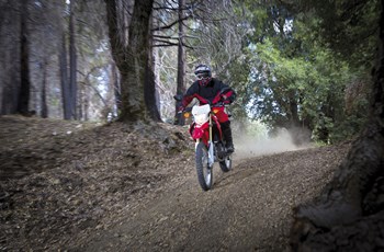 Honda CRF250L 2015 - Bild 8 Honda CRF250L 2015 - Bild 8
