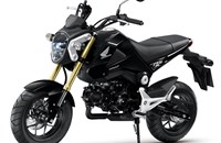 Honda MSX 125 2015 - Bild 4