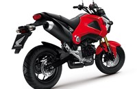 Honda MSX 125 2015 - Bild 5