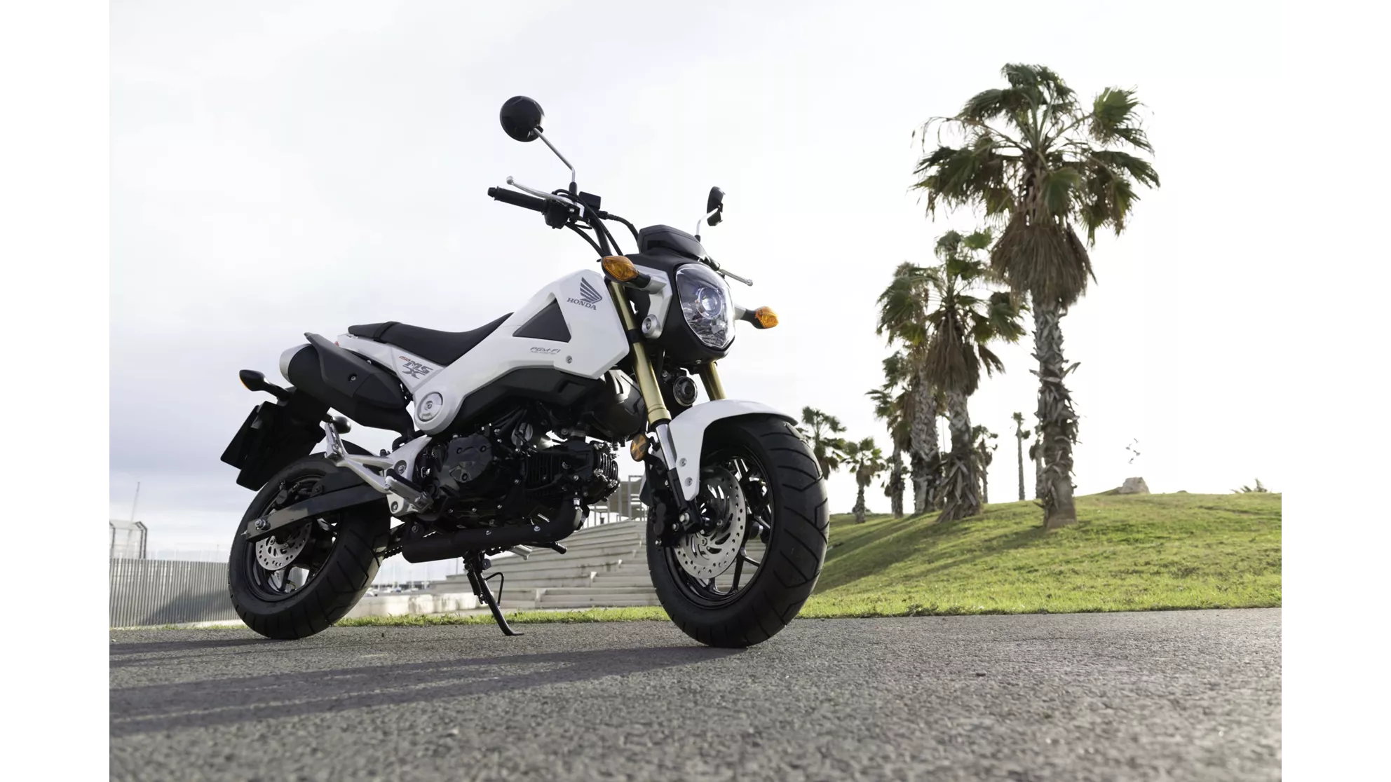 Honda MSX 125 - Image 8 Honda MSX 125 - Image 8