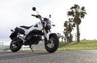 Honda MSX 125 2015 - Bild 10