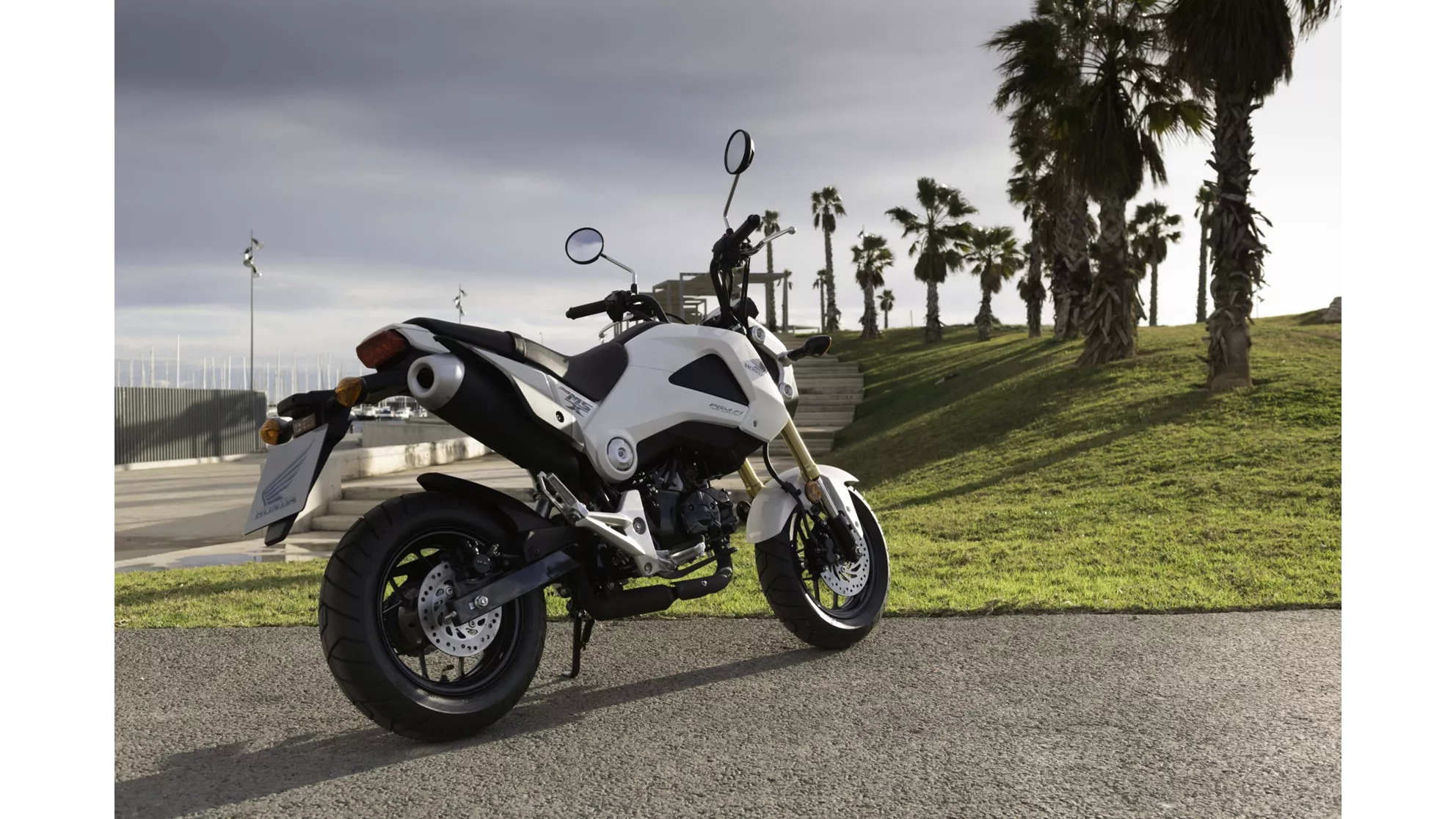 Honda MSX 125 - Image 9 Honda MSX 125 - Image 9