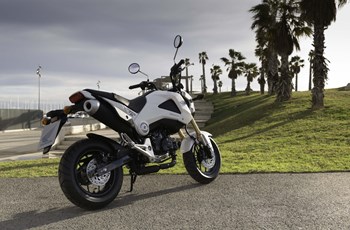 Honda MSX 125 2015 - Bild 11 Honda MSX 125 2015 - Bild 11