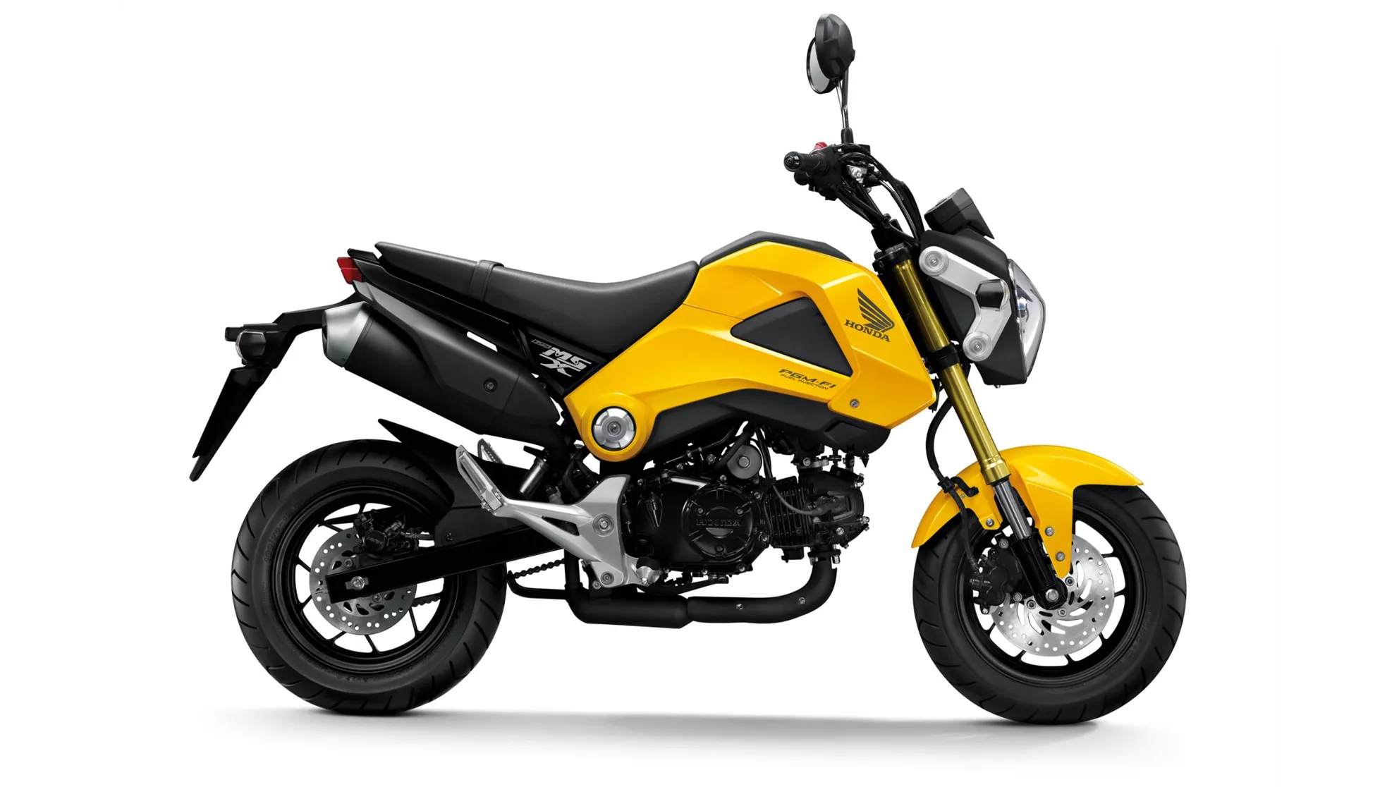 Honda MSX 125 - Image 10 Honda MSX 125 - Image 10