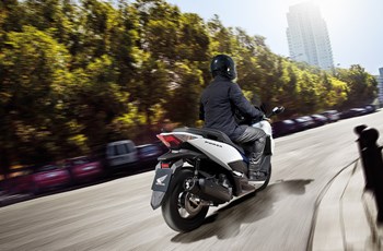 Honda Forza 125 2015 - Bild 17 Honda Forza 125 2015 - Bild 17