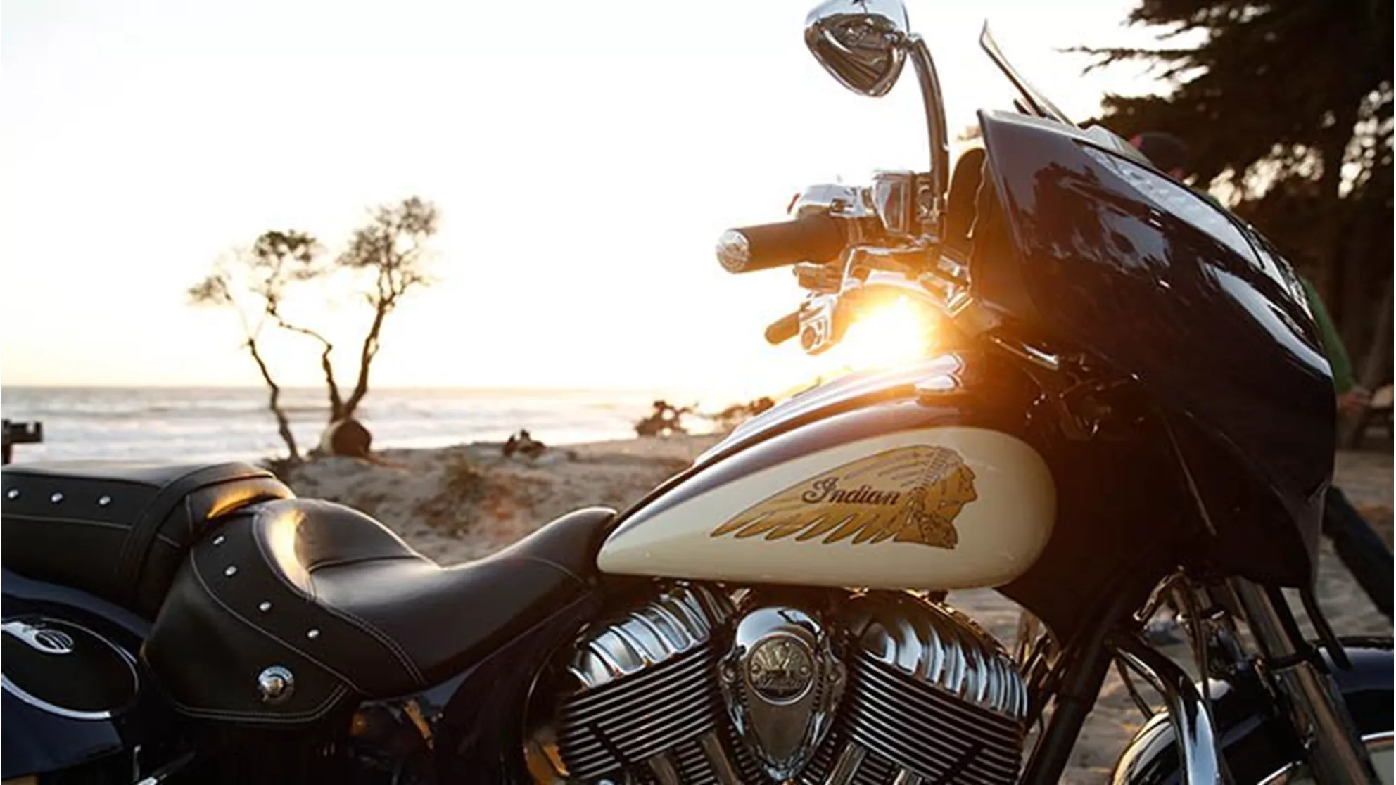 Indian Chieftain - Image 3 Indian Chieftain - Image 3