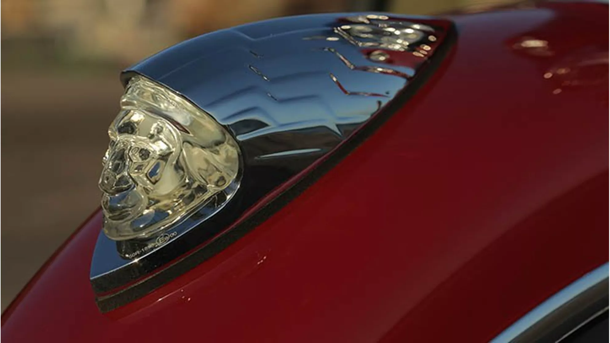 Indian Chieftain - Image 9 Indian Chieftain - Image 9