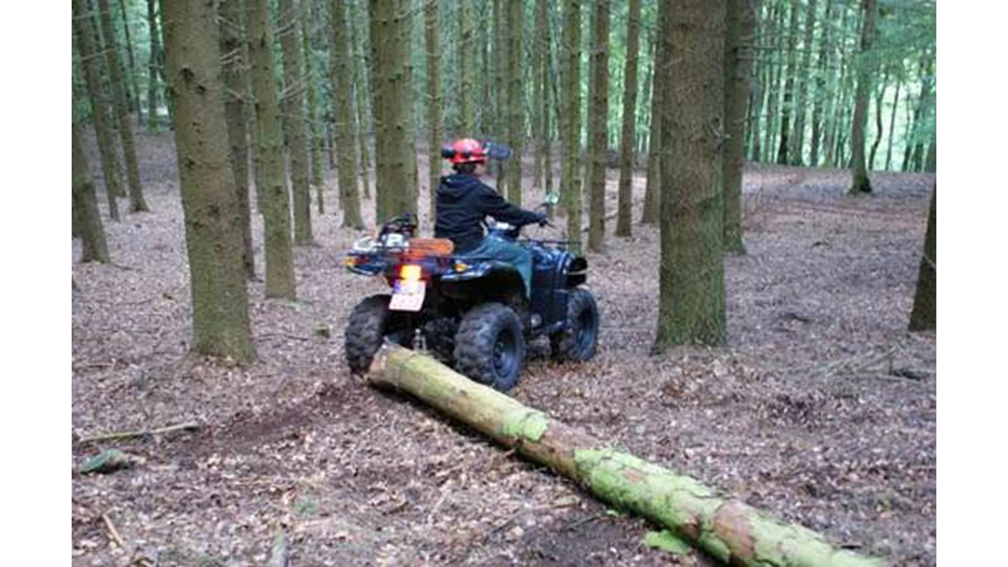 Goes G 520 F - Image 8 Goes G 520 F - Image 8