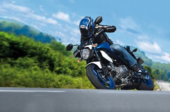 Suzuki SFV 650 Gladius 2015 - Bild 2 Suzuki SFV 650 Gladius 2015 - Bild 2