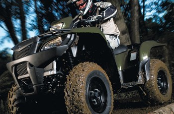 Suzuki KingQuad 750AXi 4x4 2015 - Bild 2 Suzuki KingQuad 750AXi 4x4 2015 - Bild 2