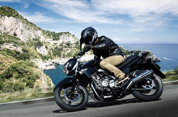 Suzuki GW250 Inazuma 2015 - Bild 13