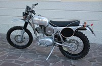 Borile B500Ricki 2015 - Bild 2