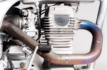 Borile B500Ricki 2015 - Bild 3